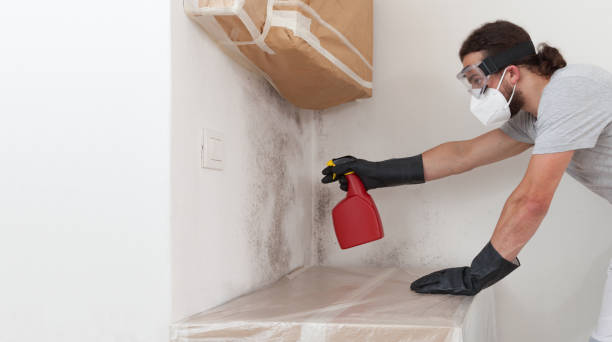 Professional Bathroom Mold Removal technician working in Colts Neck, NJ